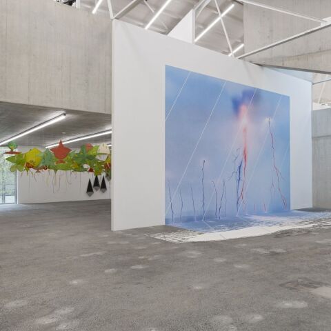 Rewilding – Exposition inaugurale au Kunsthaus de Bâle-Campagne