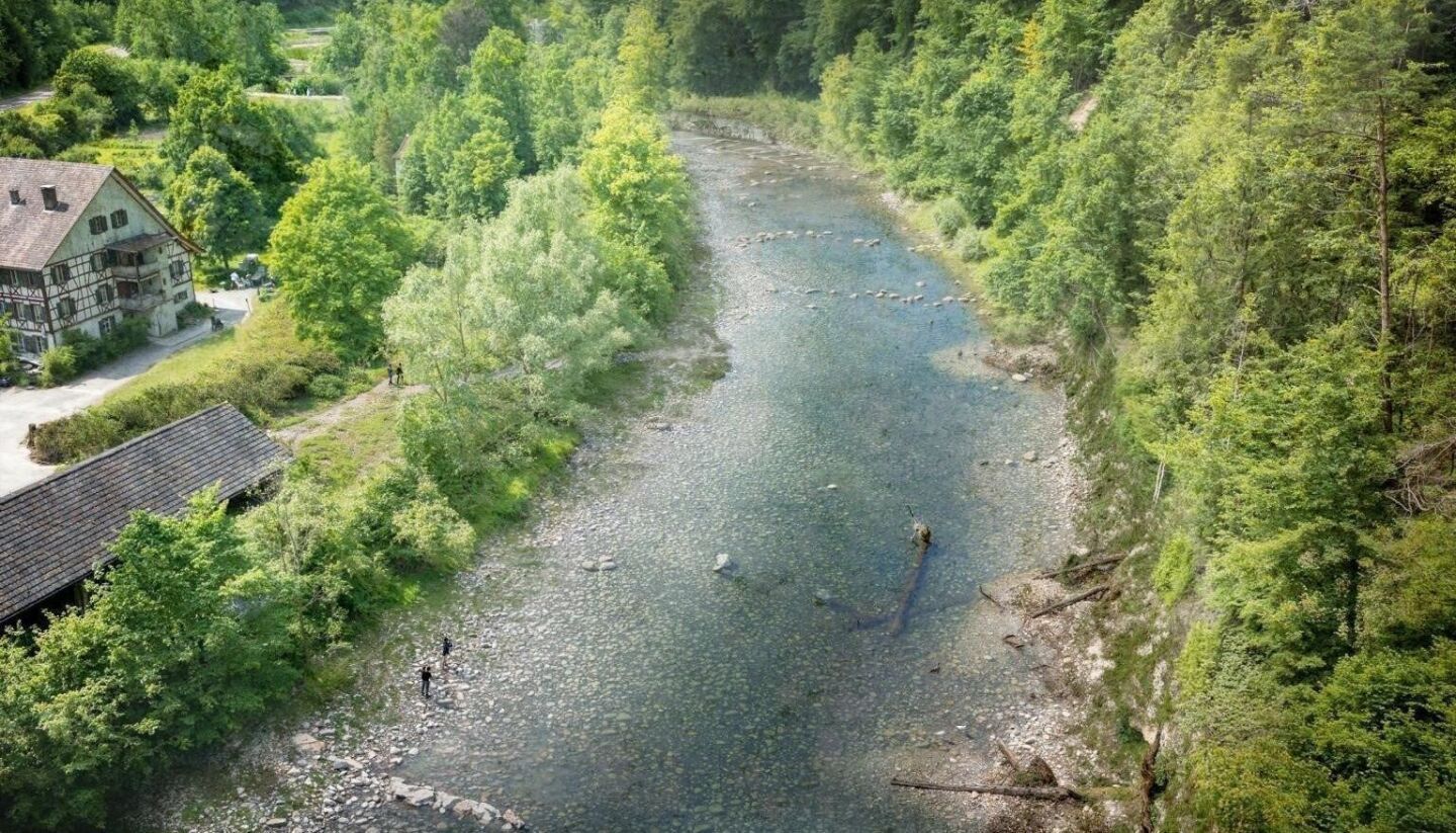 Mehr Raum für Eisvögel und Co – Flussrenaturierung bei Sihlwald