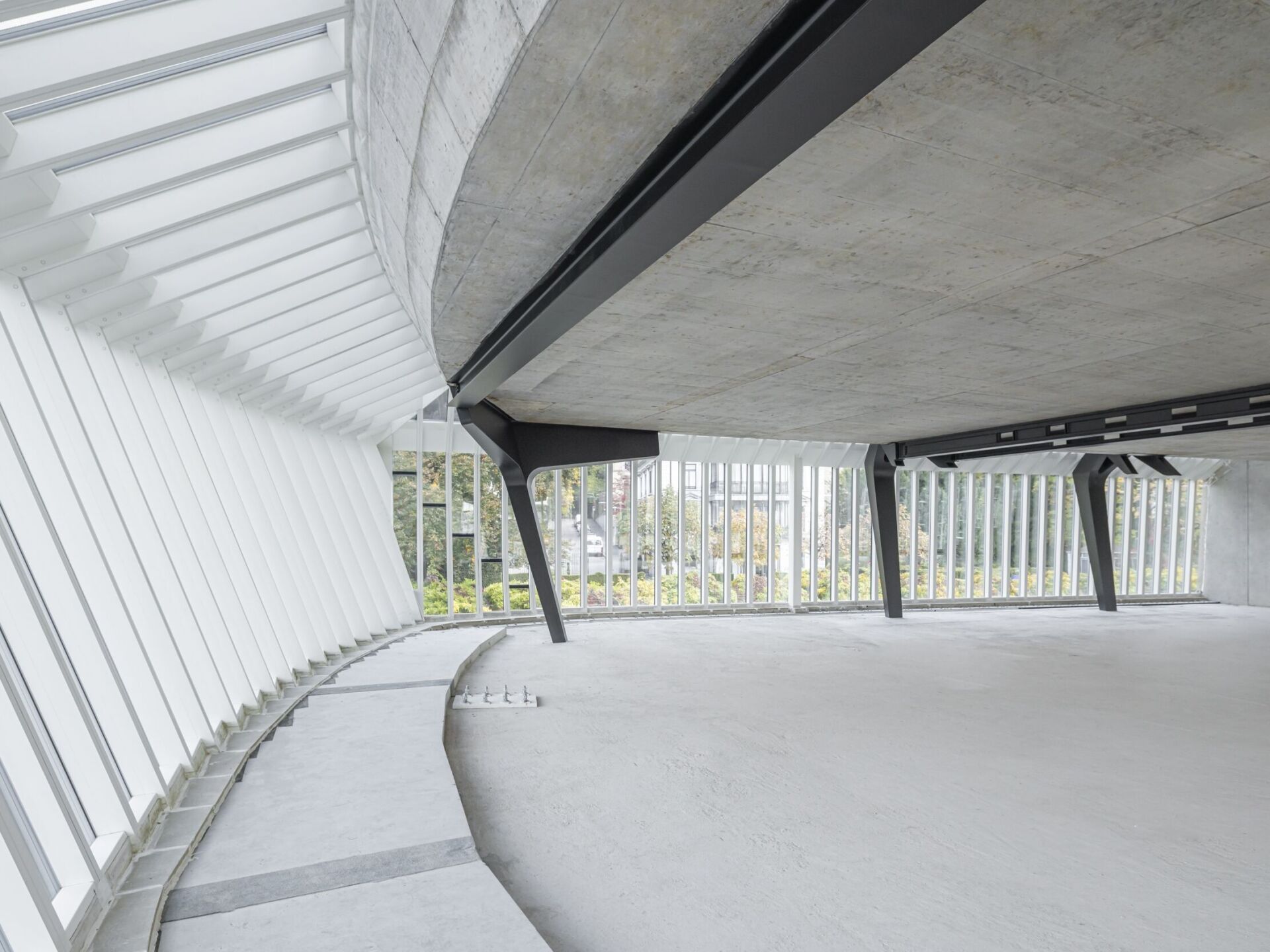 Foto: Ingo Rasp Foto: Ingo Rasp