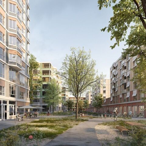 Richtprojekt für Überbauung auf Areal Pavatex Süd in Cham liegt vor