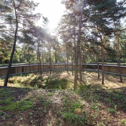 Kreisförmiges Hostel Wadi mitten im belgischen Wald