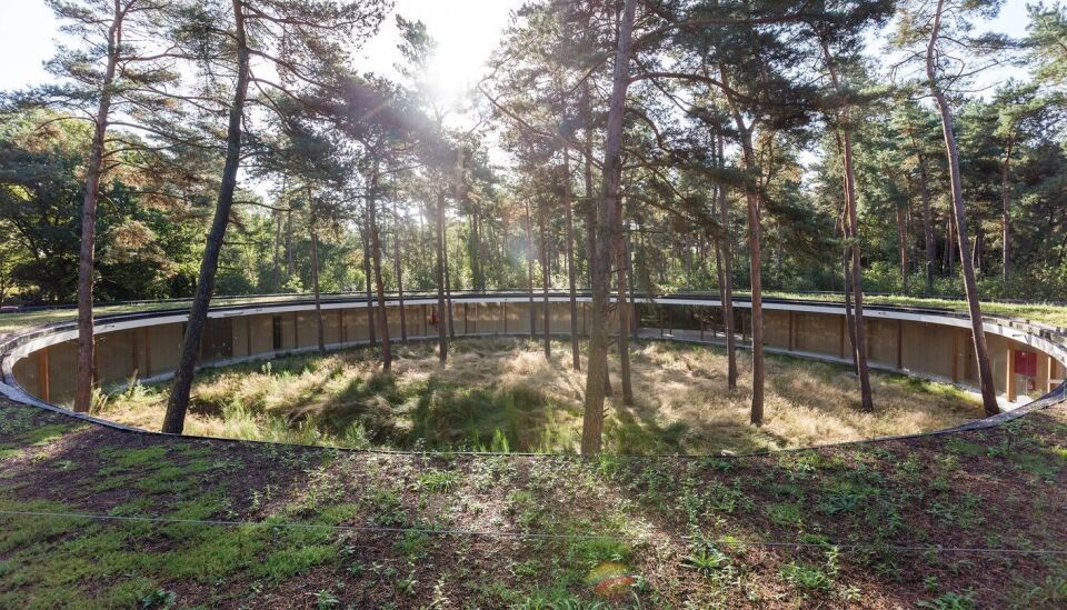 Kreisförmiges Hostel Wadi mitten im belgischen Wald