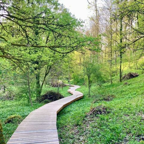 Totentäli bei Winterthur – neues Naturschutzgebiet mit Holzsteg