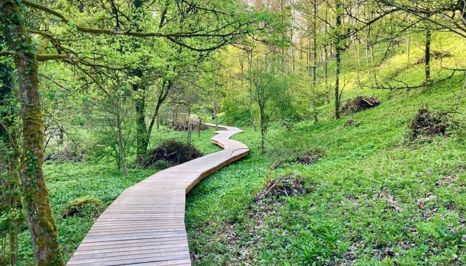 Totentäli bei Winterthur – neues Naturschutzgebiet mit Holzsteg