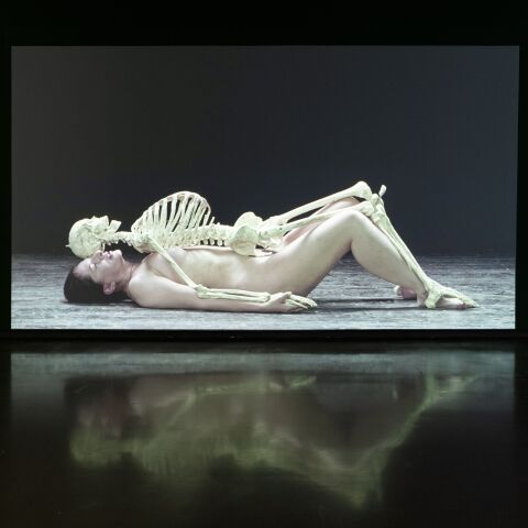 Marina Abramović – Eindrücke aus einer Retrospektive der Extreme
