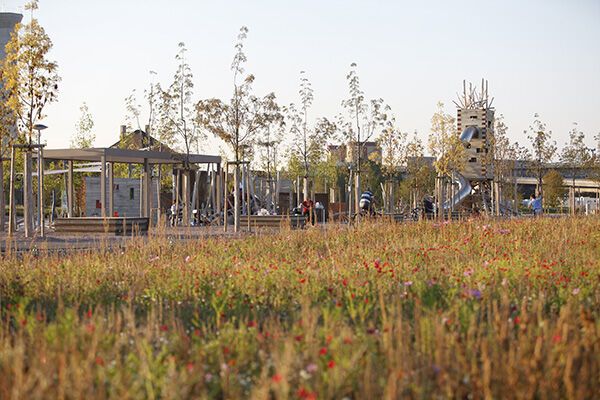 Gelungene Landschaftsarchitektur: der Erlenmattpark in Basel. Erlenmattpark in Basel