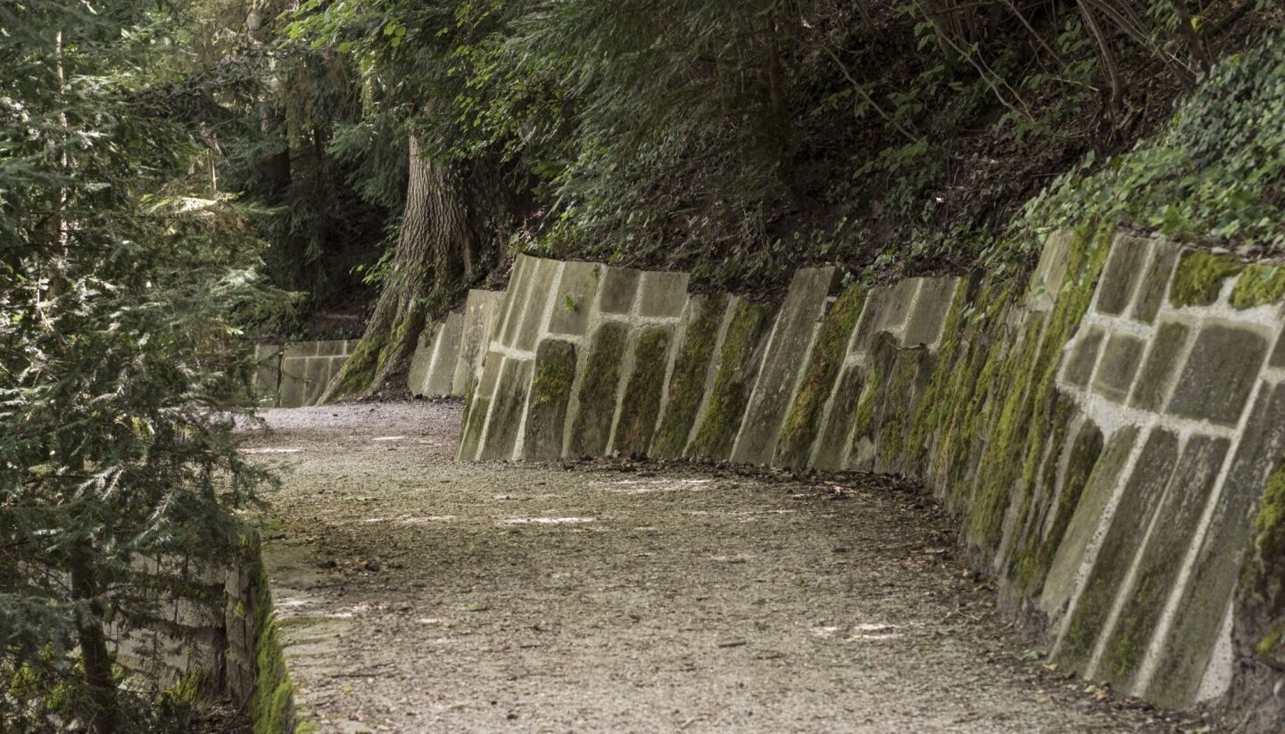 Schulthess Gartenpreis für Sanierung der Englischen Anlagen in Bern