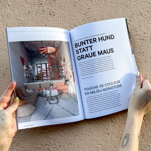 Bunter Hund statt graue Maus – Buchner Bründlers Siedlung Rötiboden
