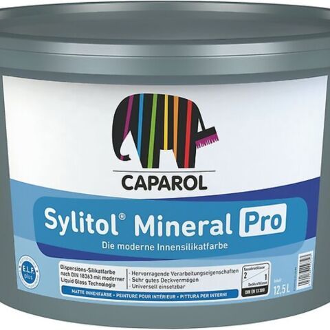 Découvrez sans attendre le futur des peintures au silicate