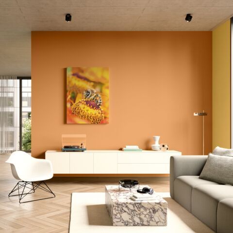 Peintures et vernis | Caparol