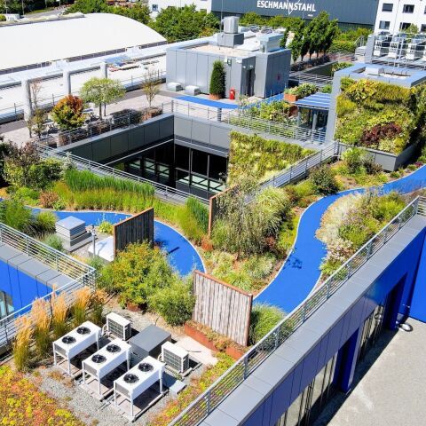 Flachdachlösungen für klimaresiliente Städte