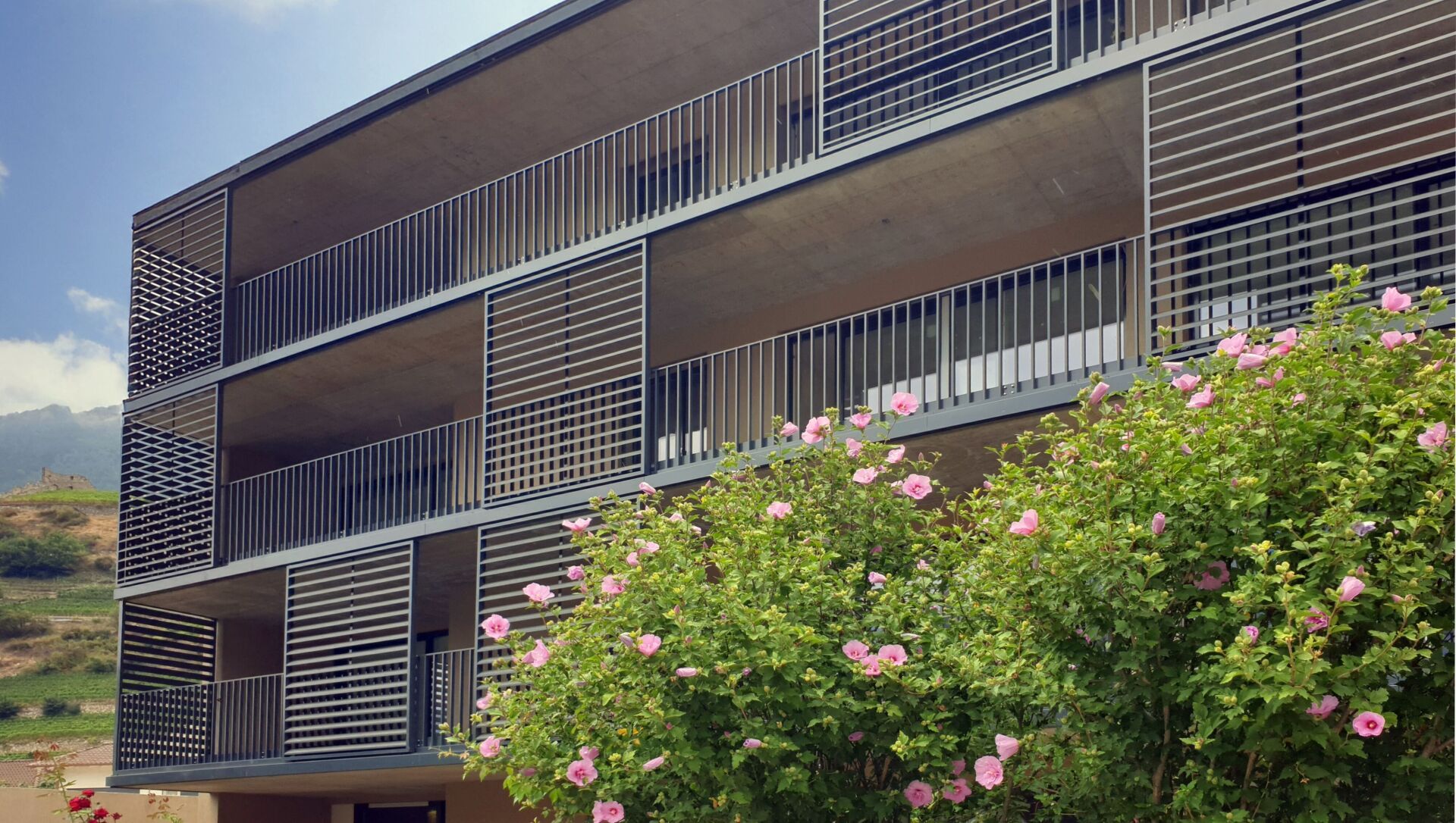 Wohnbauprojekt in Saillon mit massgeschneiderter Sonnenschutzlösung | Foto © Rotex Metallbauteile Rotex Metallbauteile