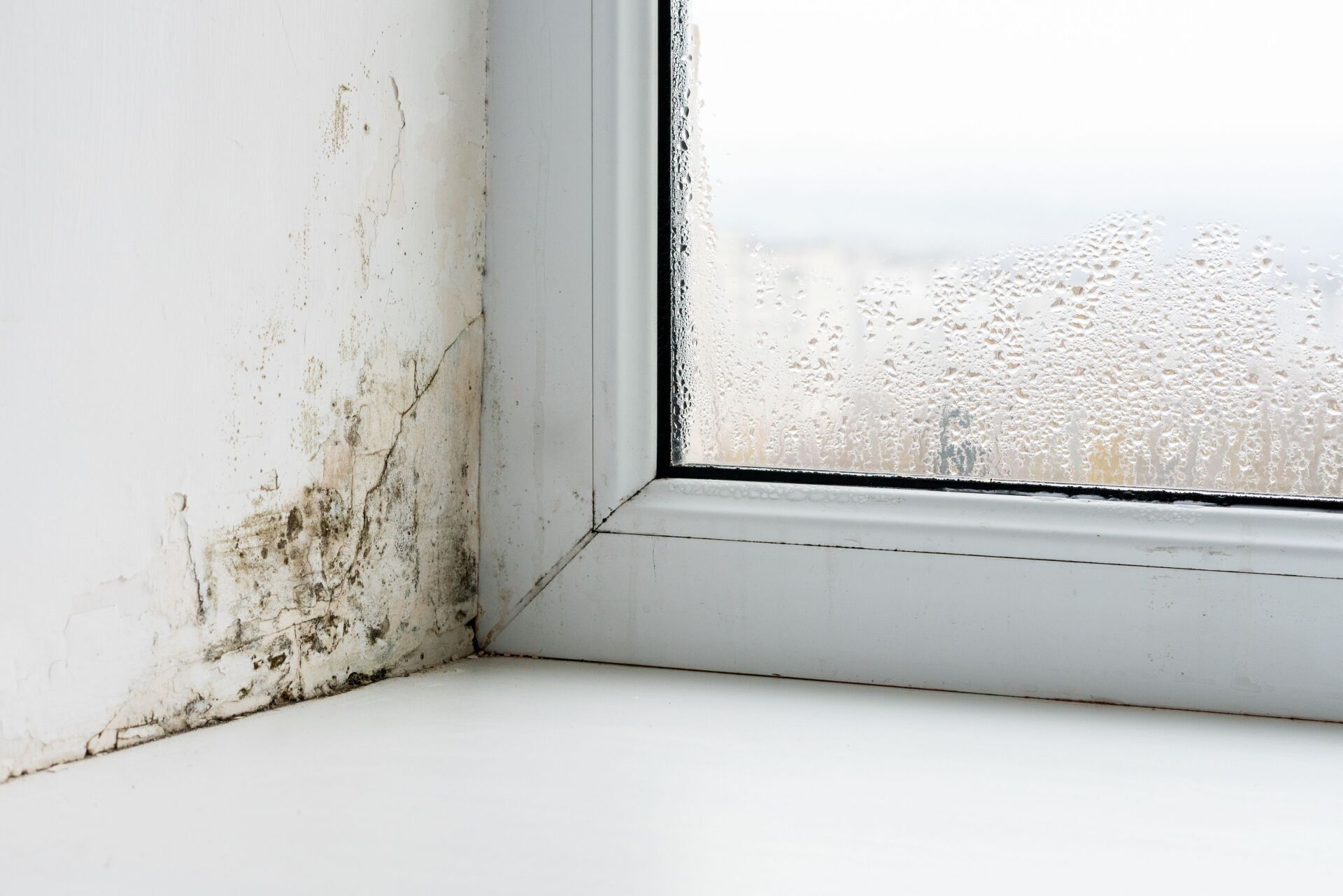 Risiken hoher Luftfeuchtigkeit – Schäden an Gebäuden und Möbeln | Foto © Adobe Stock / genutzt mit Genehmigung von Lübra Apparatebau AG Risiken hoher Luftfeuchtigkeit – Schäden an Gebäuden und Möbeln | Foto © Adobe Stock / genutzt mit Genehmigung von Lübra Apparatebau AG