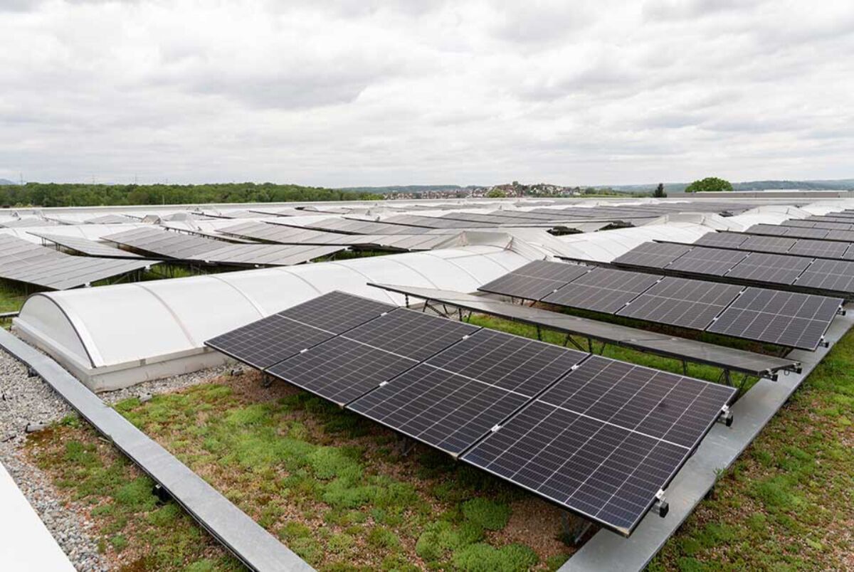 Foto © Velux Commercial Velux Commercial