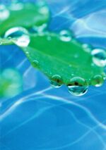 Das energieeffiziente Schwimmbad