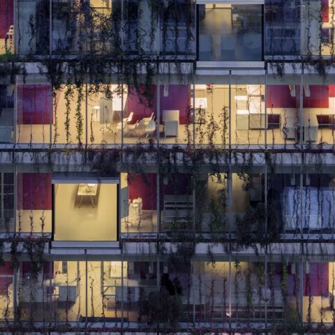 Végétalisation de façades