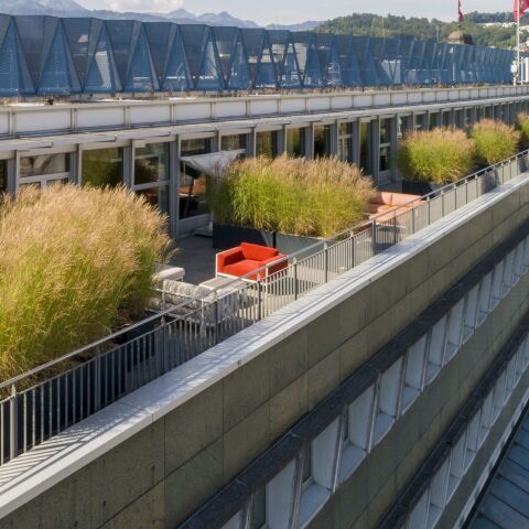 Terrassenbegrünungen