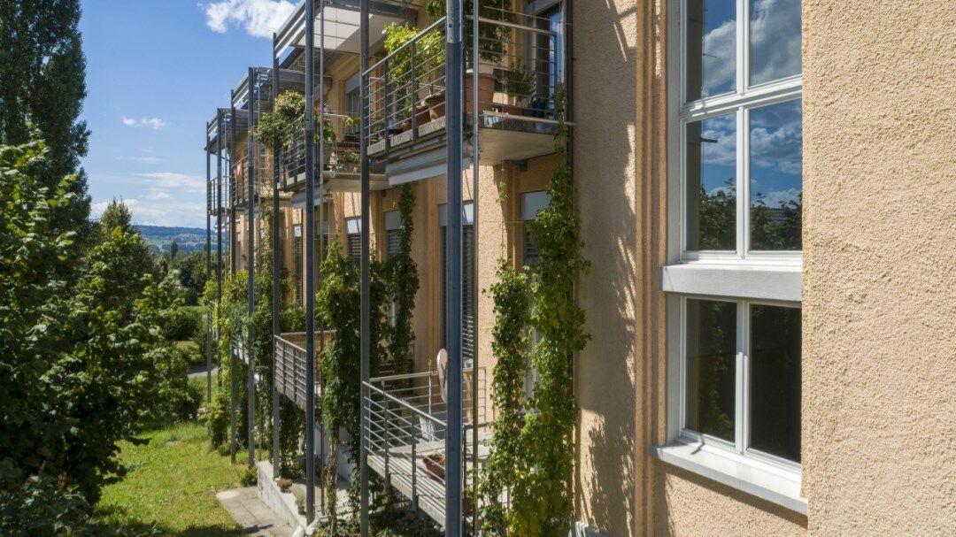 Végétalisation de balcon verticale comme pare-vue Végétalisation de balcon verticale comme pare-vue