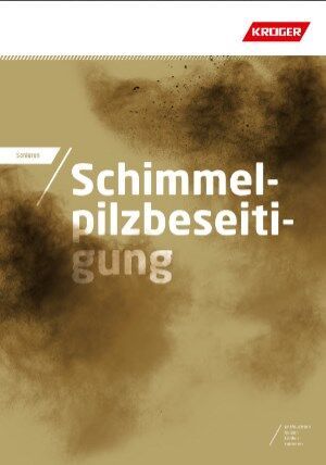 Sanieren Schimmelpilzbeseitigung