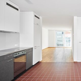 Modernes Premiumdesign für Minergie-Bauten empfohlen