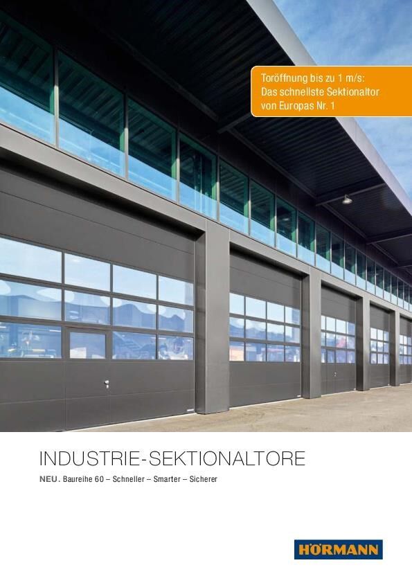 Industrie-Sektionaltore