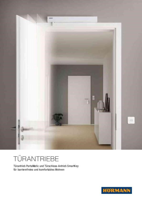 Türantriebe