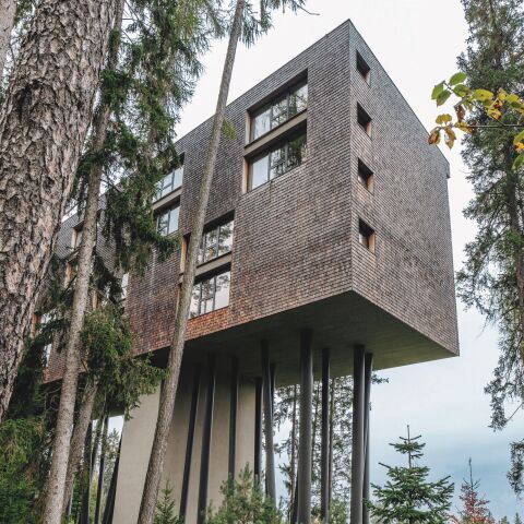 Rückzugsort in den Baumkronen