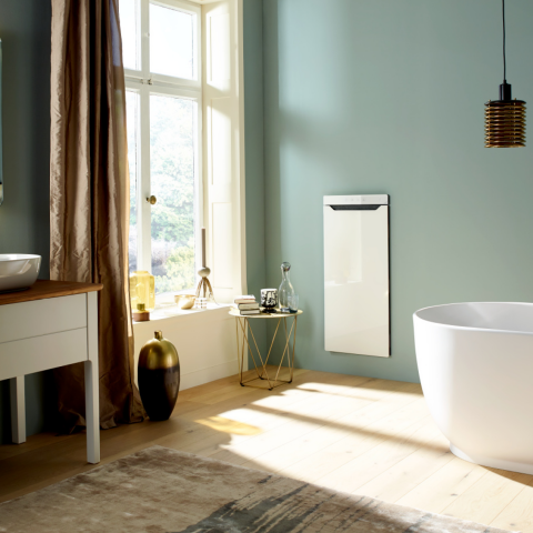 Corps de chauffe design Zehnder Zenia